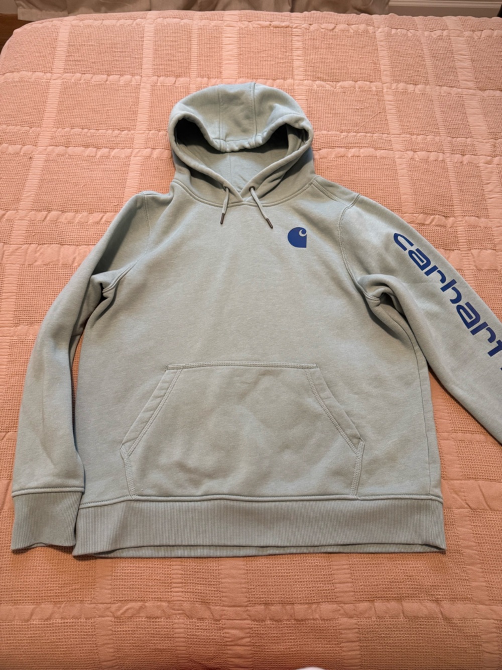 Carhartt Light Sage Green Pullover Hoodie with Sleeve Logo